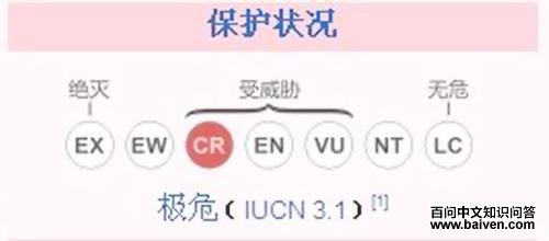 ���̽������