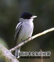 ���������l