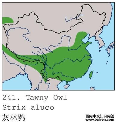 �����^�����ֲ�ͼ