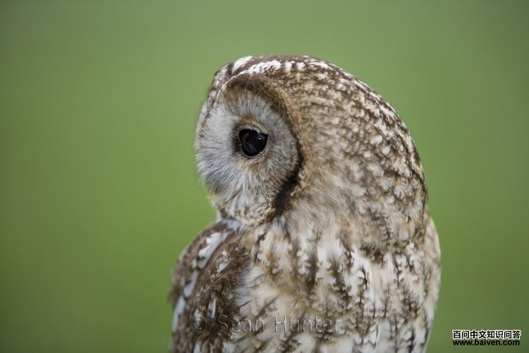 �����^������