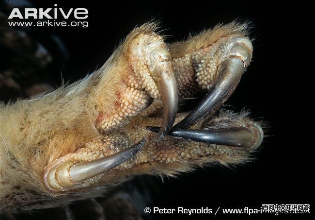 �����^��צ��