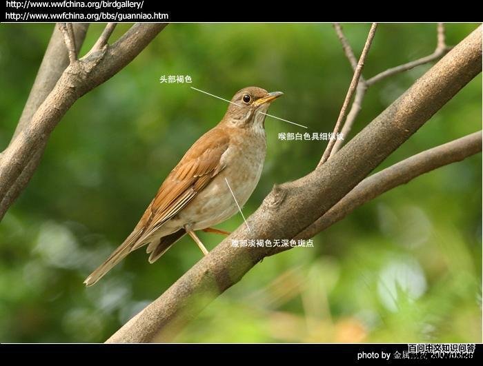 �׸����� ��������Ƥ��