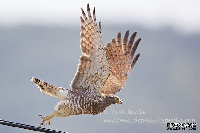 �����\ӥ�����