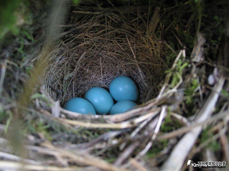 �����S������