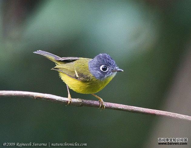 �����lݺ��ͼƬ