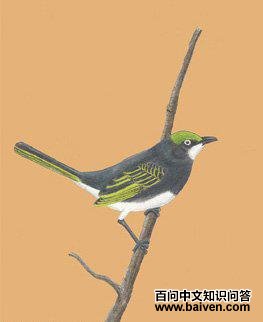 ����ݺȸ��ͼƬ