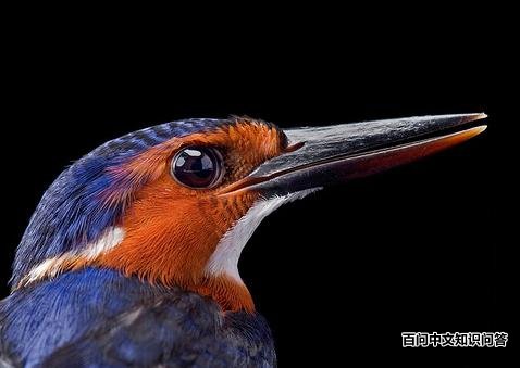 �׸�����