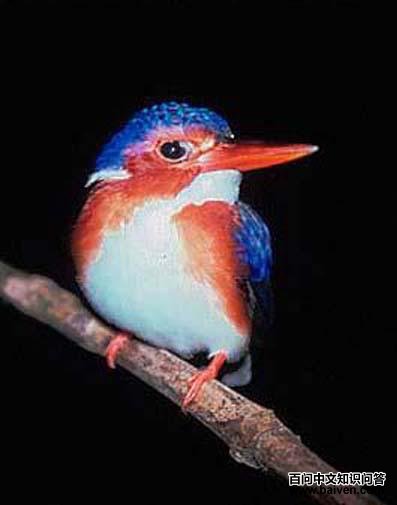 �׸�����