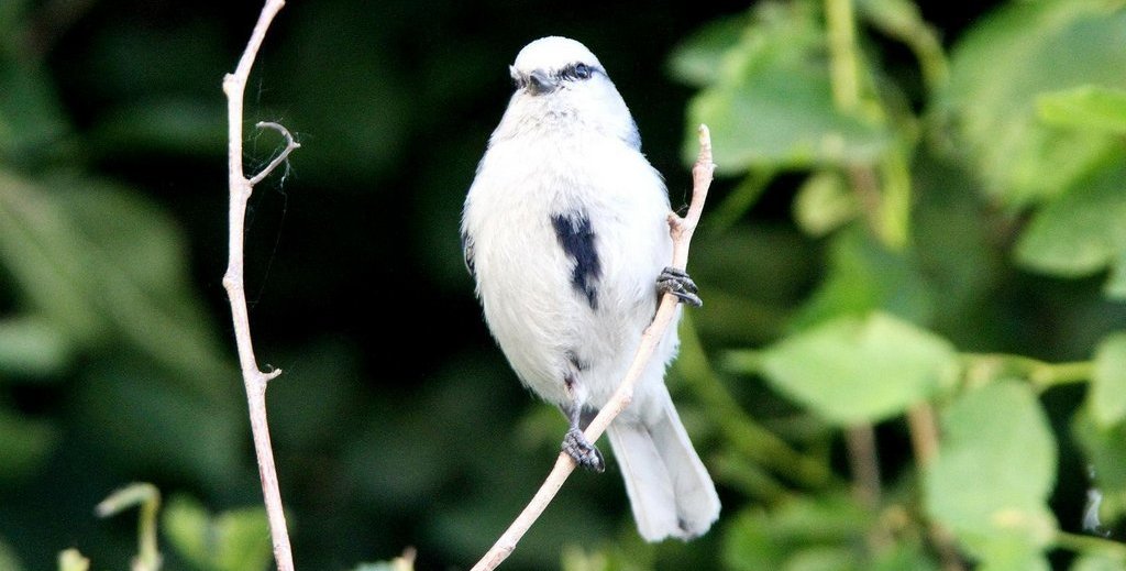 ����ɽȸ����