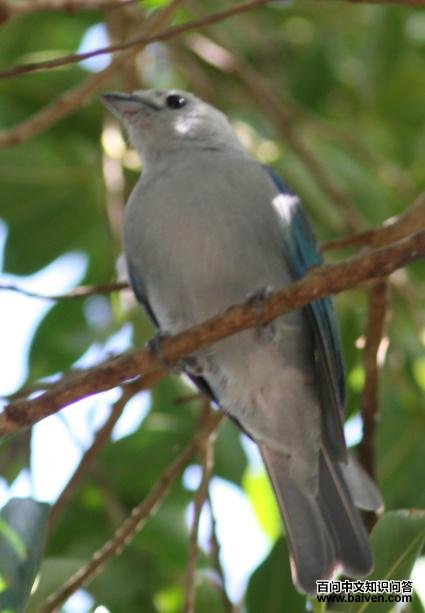 �������ȸ