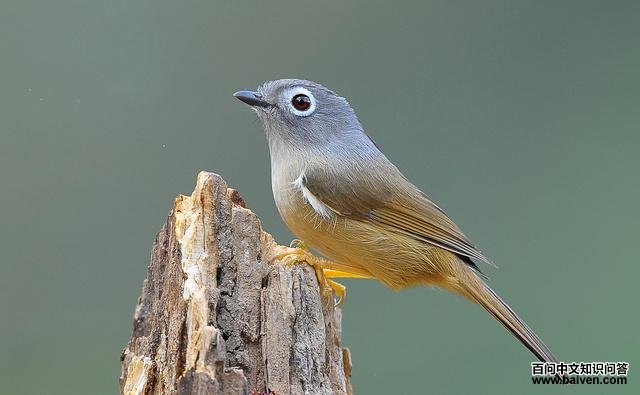 �ҿ�ȸ�̵�ͼƬ