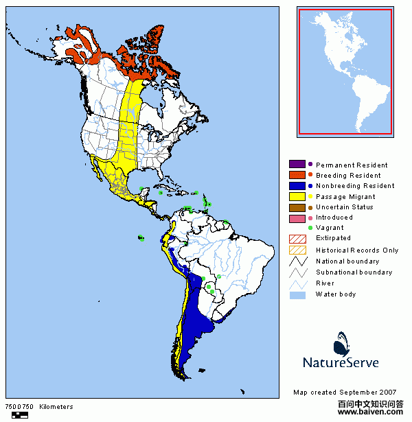 �׸����֣�����ֲ�ͼ