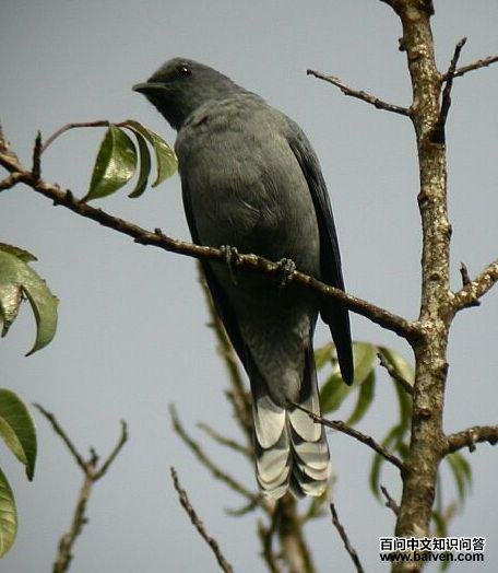 �Ҿ��V��ͼƬ