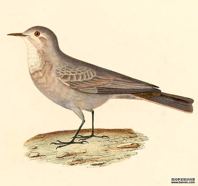 �Ҿ�Ѩȸ��ͼƬ