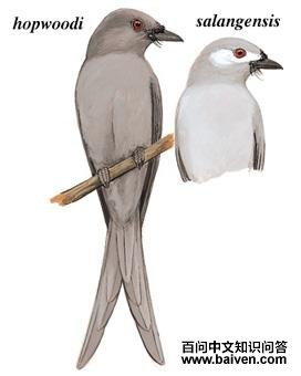 �Ҿ�β����̬����ͼ