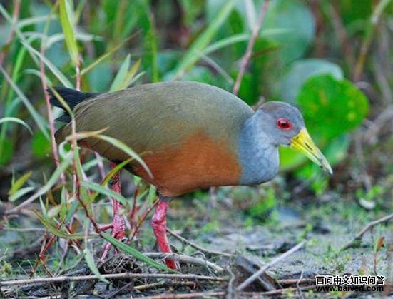 �Ҿ�������