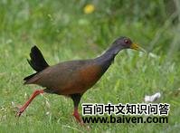 �Ҿ�������