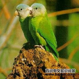 �Ҽ��и��ͼƬ