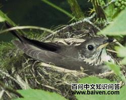 �Ҽ�ҹ��ͼƬ