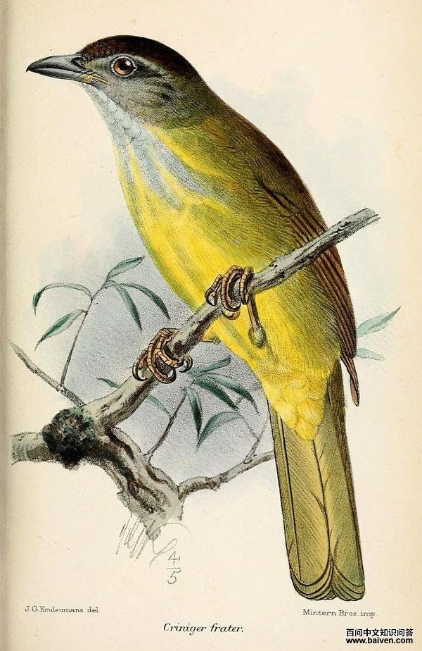 �Ҽչ��ǵ�ͼƬ