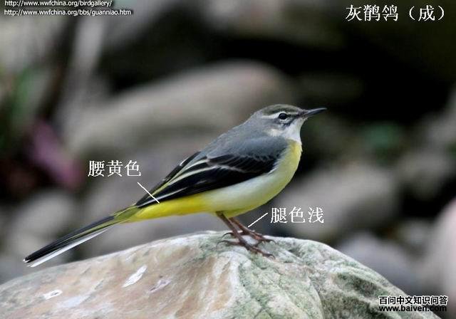 ���n�_��������ɫ����ɫǳ����Ⱥ�ɫ���ǱȽ�ǳ�ģ�