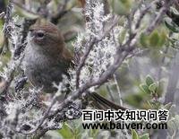 �Ҽ�βȸ��ͼƬ