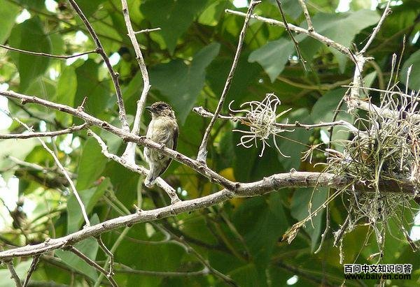 �Ҽ���ľ���ͼƬ