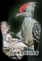 �һ���ľ���ͼƬ