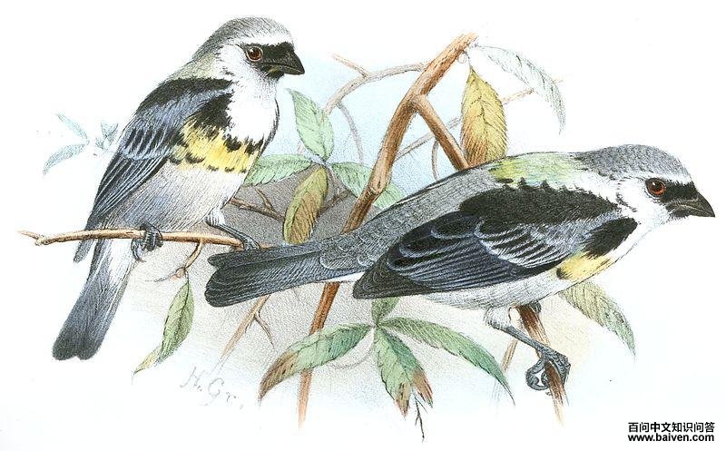 �һ��Ƽ���ȸ��ͼƬ