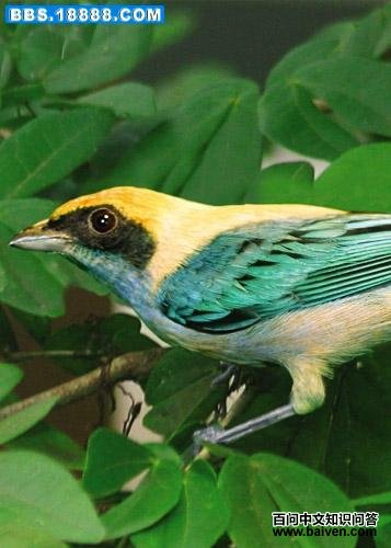 �һ��Ƽ���ȸ