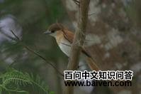 �Һ�����l��ͼƬ