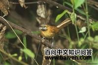 �Һ���βȸ��ͼƬ