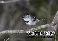 �Һ����ӵ�ͼƬ