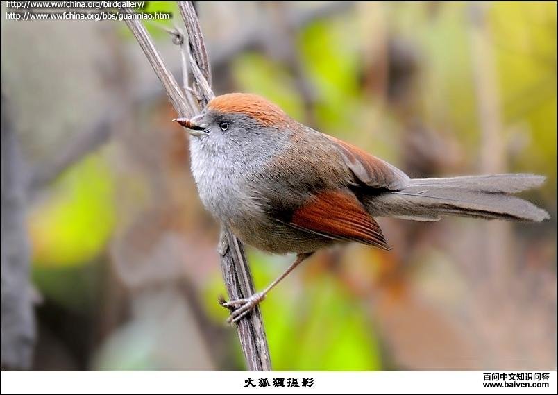 �Һ�ѻȸ����Ӱ����꣬����ص㣺���ݣ�����ʱ�䣺20080101