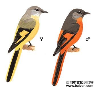 �Һ�ɽ����