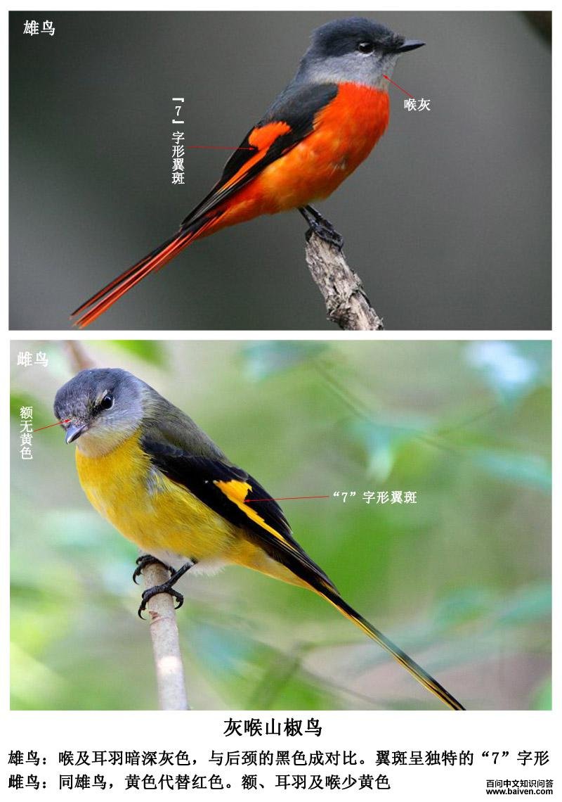 �Һ�ɽ����