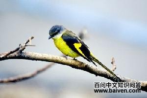 �Һ�ɽ����