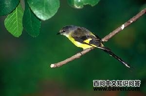 �Һ�ɽ����