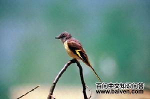 �Һ�ɽ����