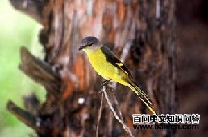 �Һ�ɽ����