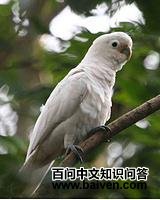 ���Ϸ�ͷ����