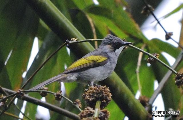 �Һڶ̽��ǵ�ͼƬ