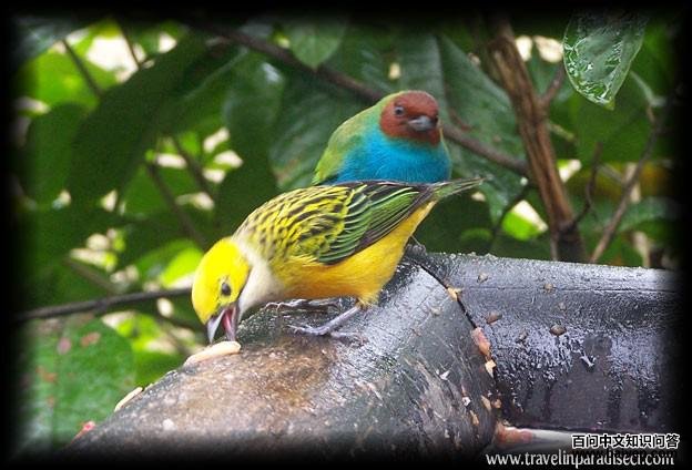 �Һ��������ȸ