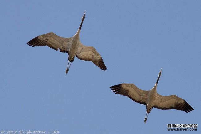 �Һף�����ͼ