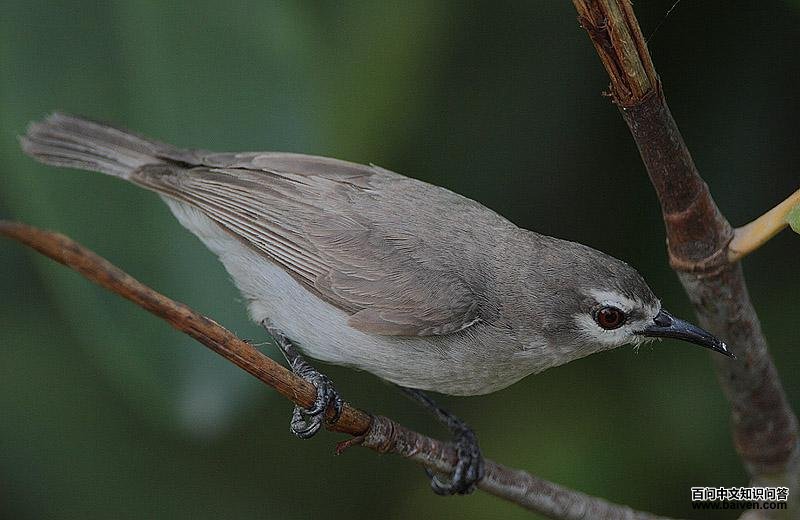 �Һ�ʳ�����ͼƬ