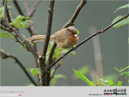 �ҹ�ѻȸ����Ӱ���ڣ������Ĵ�