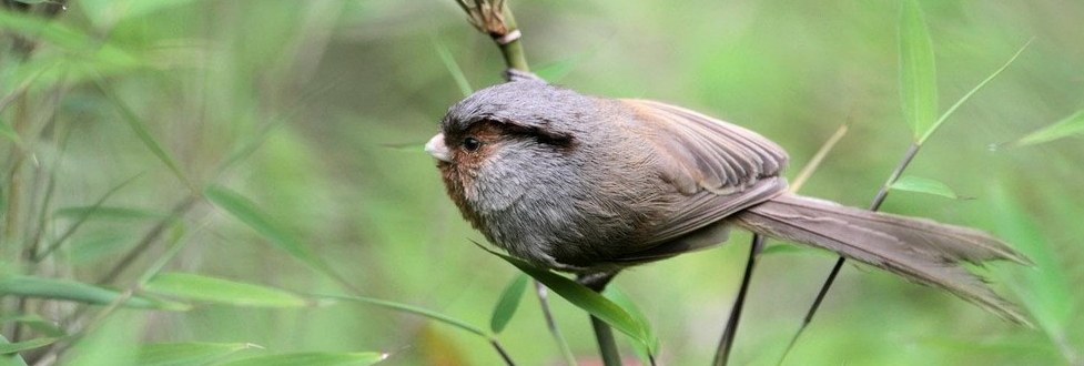 �ҹ�ѻȸ����Ӱ��֪�ˣ������Ĵ���Ԫ�ƼҺӣ�2011��6��24��