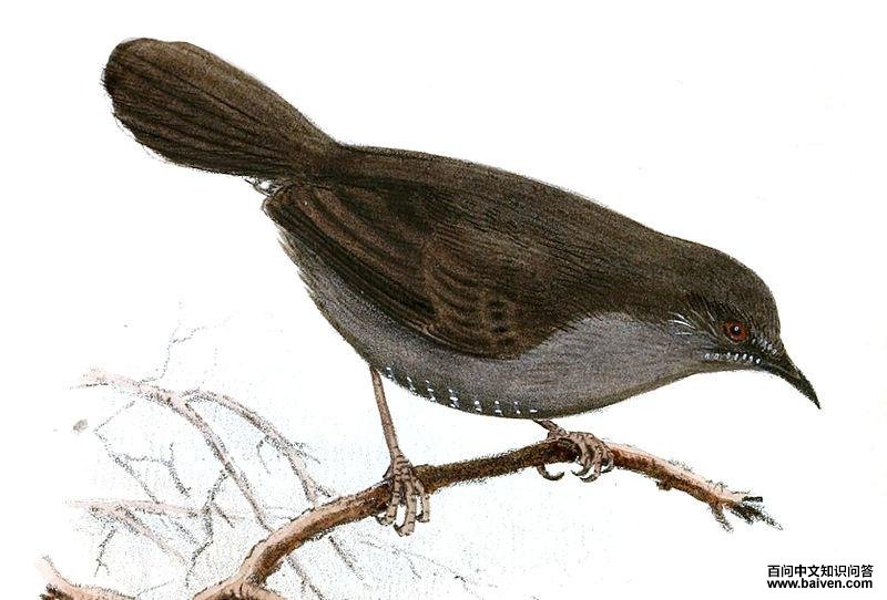 �ҹ���ݺ��ͼƬ