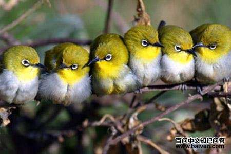 �Ҹ�������