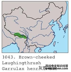 �Ҹ����̣������ֲ�ͼ